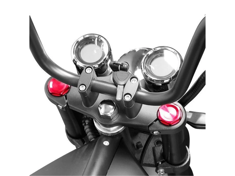 E-Chopper X9 2000W 25-45 km/h Dunkelgrün Matt